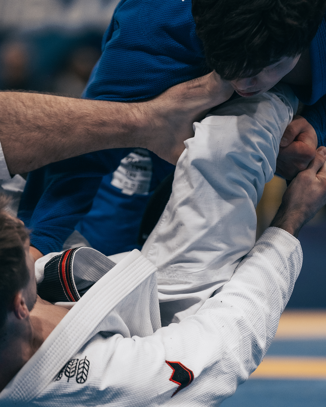 Kingz Kimonos BJJ Gear
