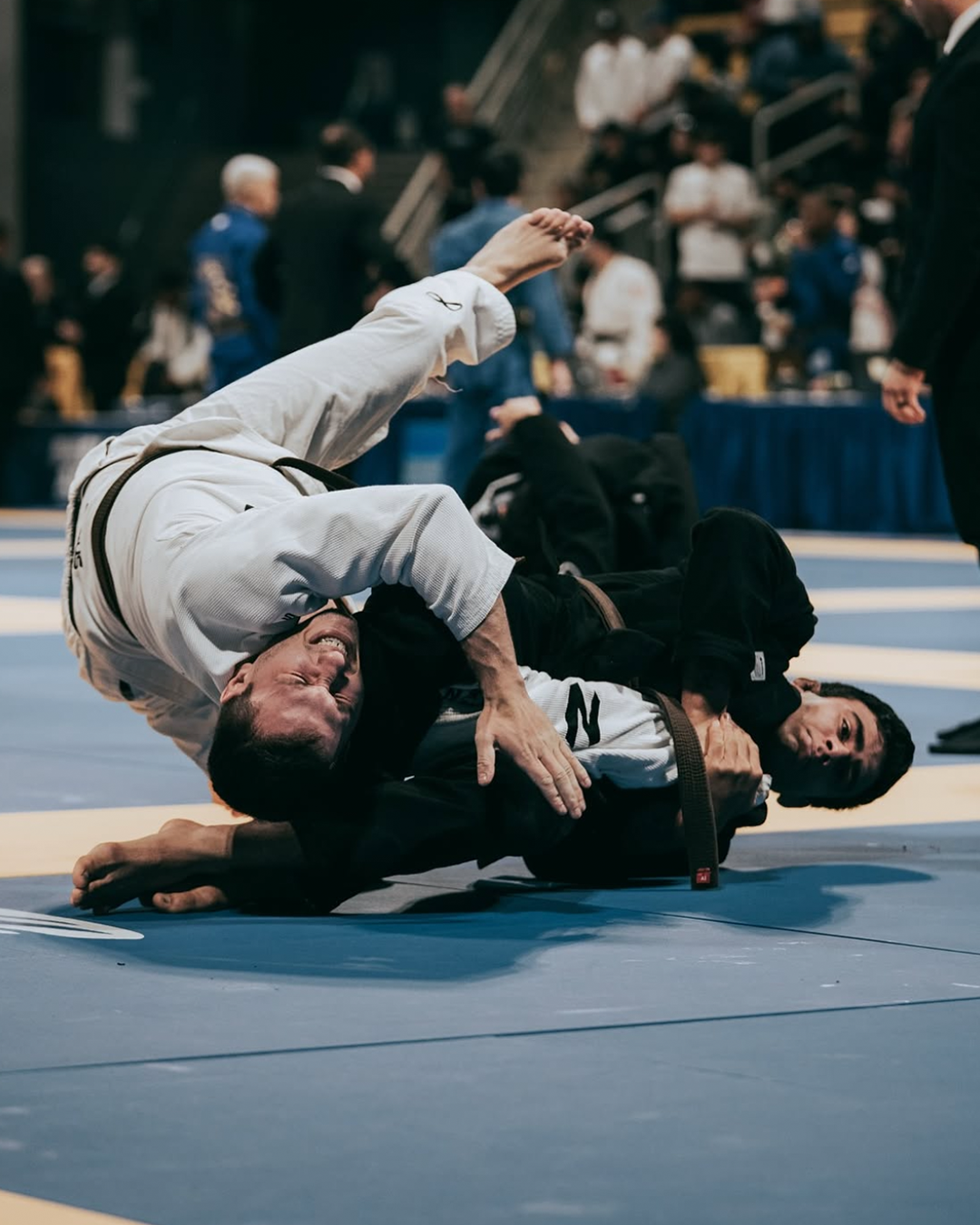 Kingz Kimonos BJJ Gear