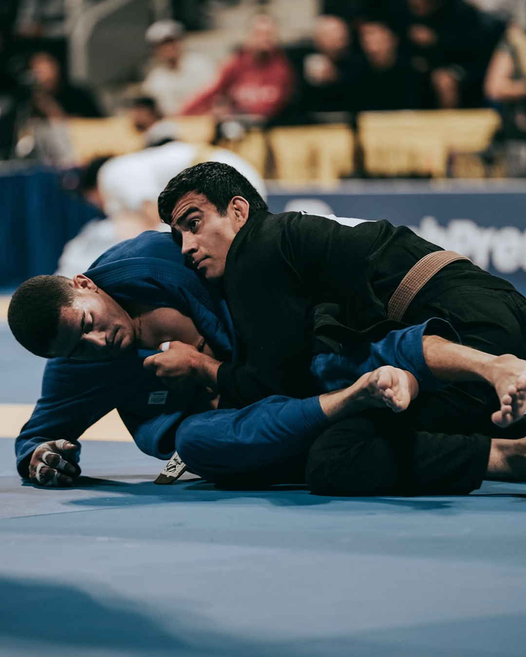 Kingz Kimonos BJJ Gear
