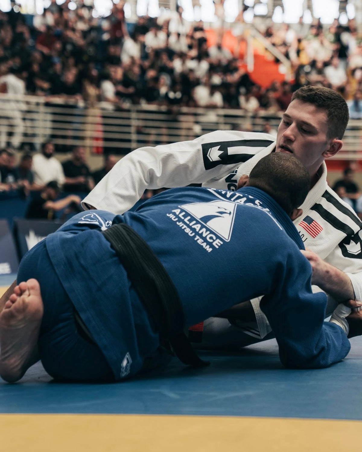 Kingz Kimonos BJJ Gear