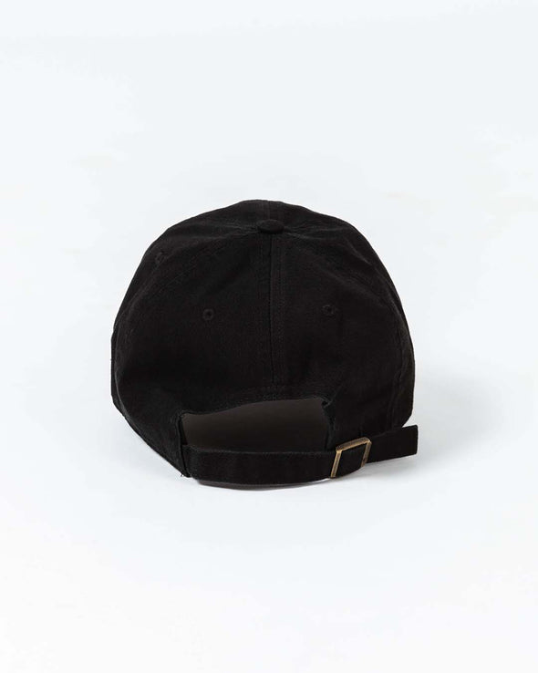 College Dad Hat